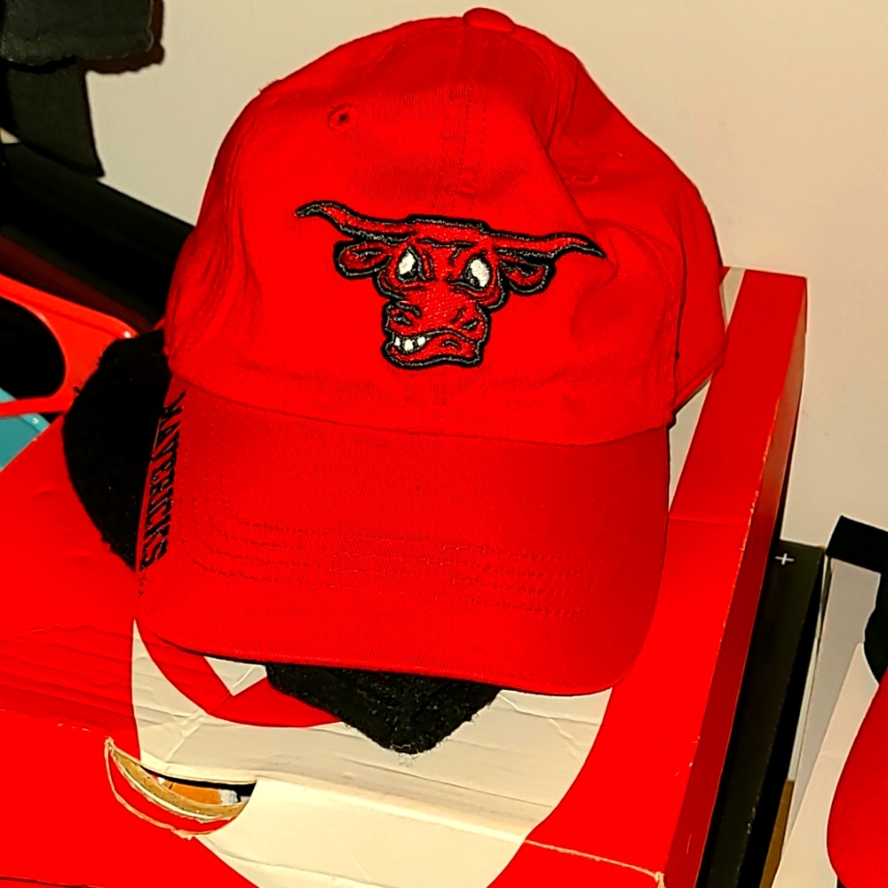 Red mavericks hat